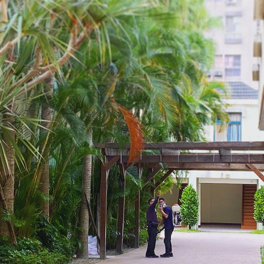 楓采休閒商務汽車旅館有限公司-undefined