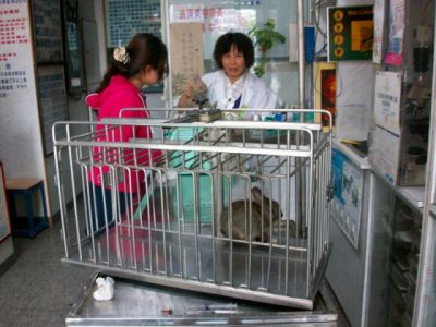 百祥動物醫院-undefined