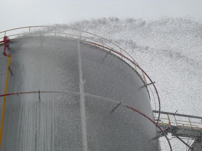 維頂企業股份有限公司-undefined