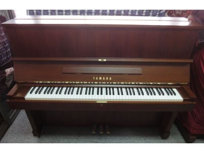 福音琴行-undefined