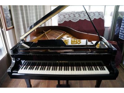 福音琴行-undefined