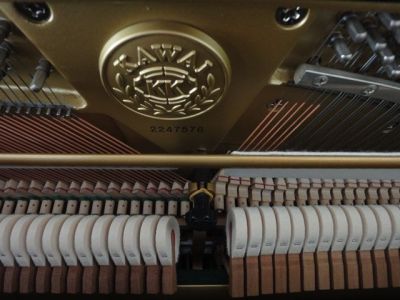 福音琴行-undefined