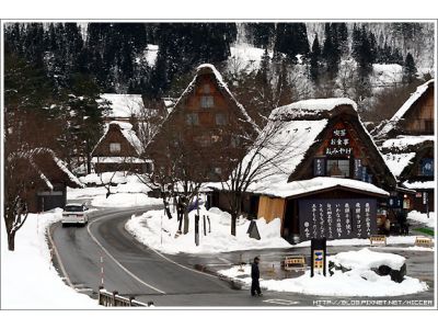 禾豐國際旅行社有限公司-undefined
