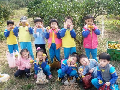 私立來來幼稚園-undefined