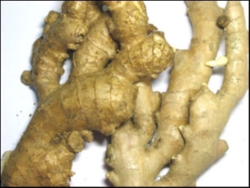 秋虎企業有限公司-undefined