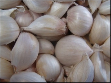 秋虎企業有限公司-undefined