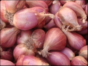 秋虎企業有限公司-undefined