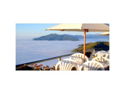 若茵農場-undefined