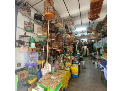 進豐鳥園-undefined