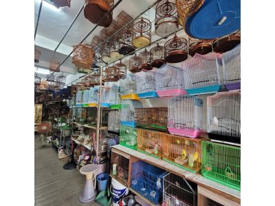 進豐鳥園-undefined