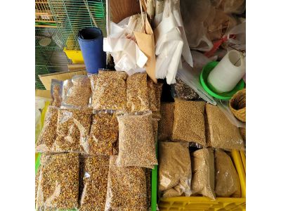 進豐鳥園-undefined