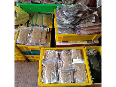 進豐鳥園-undefined