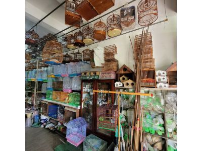 進豐鳥園-undefined