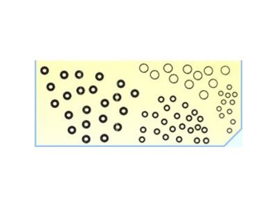 鑫宜興業有限公司-undefined