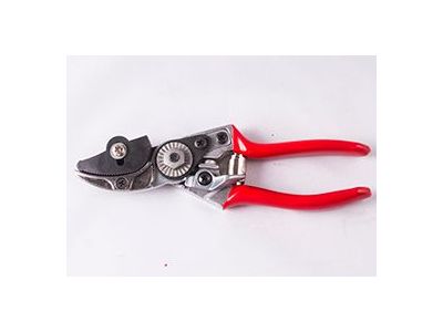 金翔發有限公司-undefined