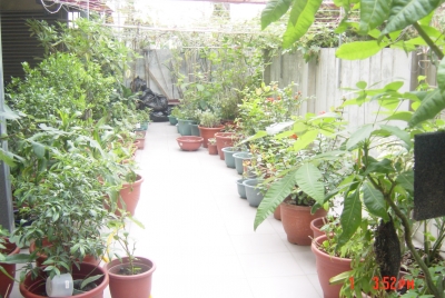 慈佑護理之家-undefined