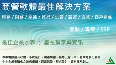 頂泰興資訊有限公司-undefined