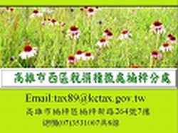 高雄市稅捐稽徵處-undefined
