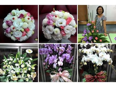 花心花苑-undefined