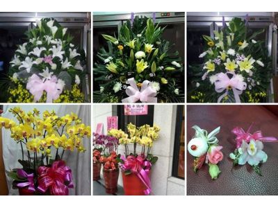 花心花苑-undefined