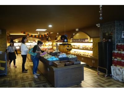台灣優格食品股份有限公司-undefined