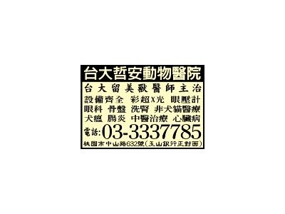 哲安動物醫院-undefined