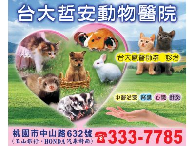 哲安動物醫院-undefined
