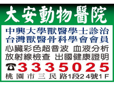 大安動物醫院-undefined