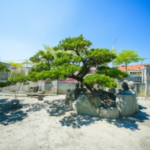 瑞豐種苗園-undefined