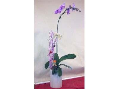 綠坊花藝設計工作室-undefined