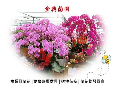 李簡阿美-undefined