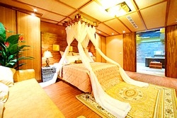 采虹森林-undefined