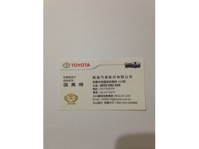 桃苗汽車股份有限公司-undefined