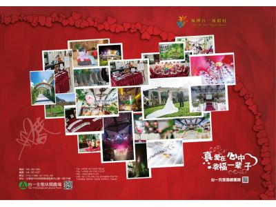 台一種苗場-undefined