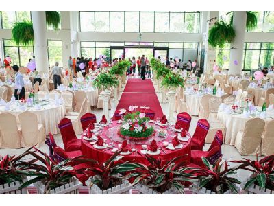 台一種苗場-undefined