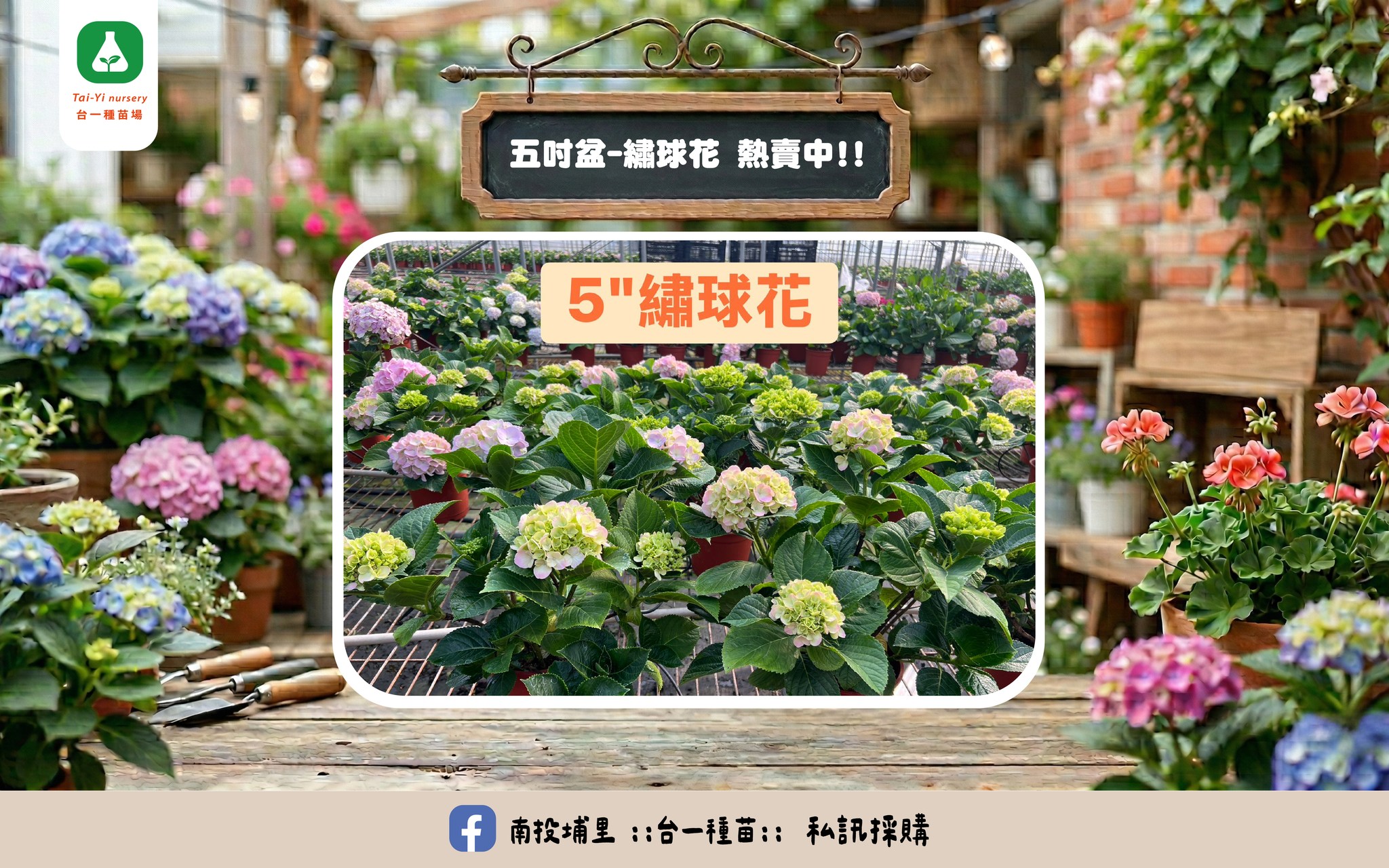 台一種苗場-undefined