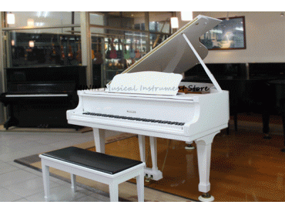 名音樂器行-undefined