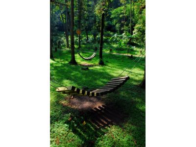 國立中興大學農學院實驗林管理處惠蓀林場-undefined