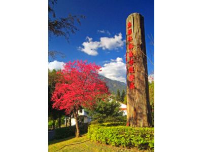 國立中興大學農學院實驗林管理處惠蓀林場-undefined