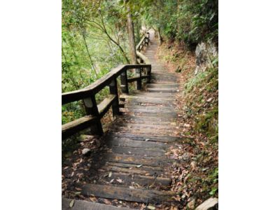 國立中興大學農學院實驗林管理處惠蓀林場-undefined