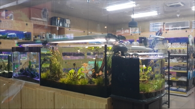 宏海水族館草屯店-undefined