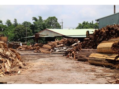 杉松木業有限公司-undefined